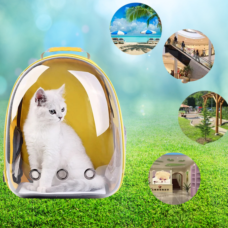 Fur Ventures Transparent Cat Carrier